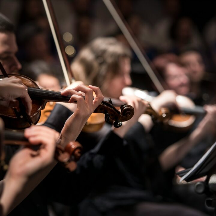 Beyond AGILE: Mastering the symphony of Business Adaptability